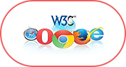 Web Standard